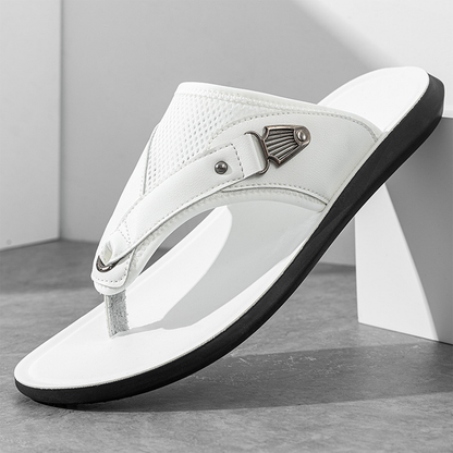 SOLORA PREMIUM SLIDES